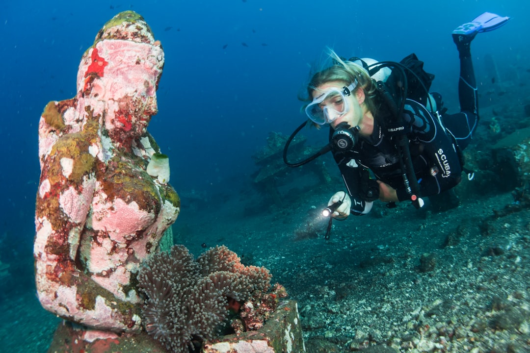 Photo Underwater Paradise