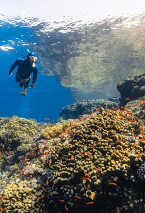The Colors We Must Protect: A Diver’s Pledge to Australia’s Underwater Rainbow