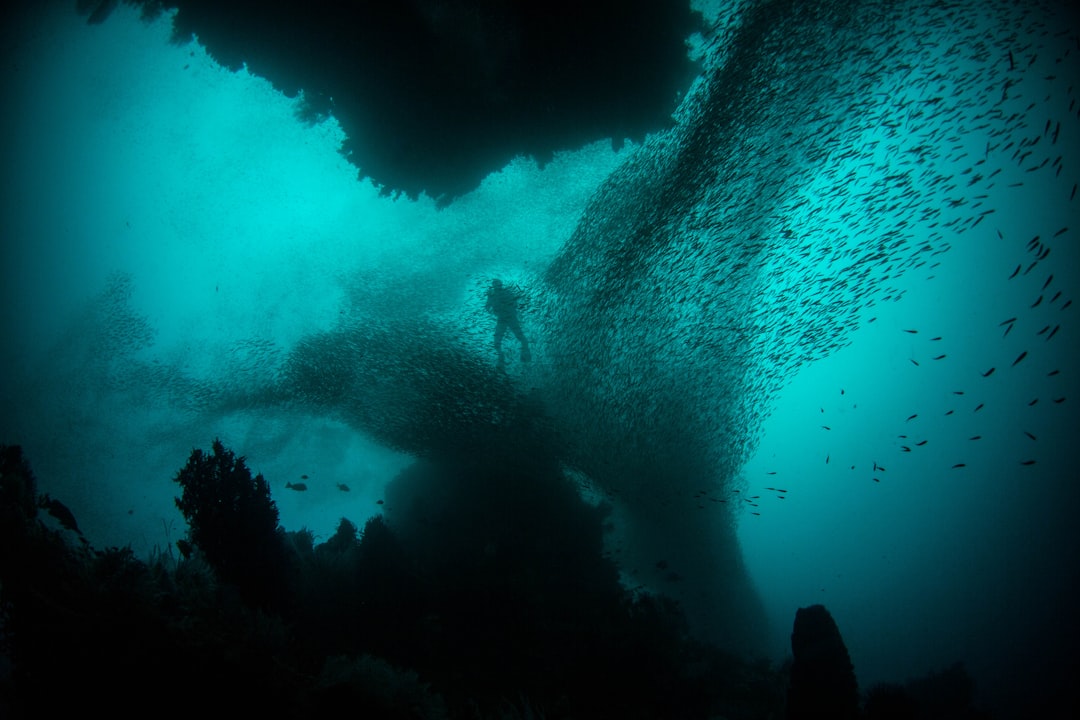 Photo Underwater Sanctuary