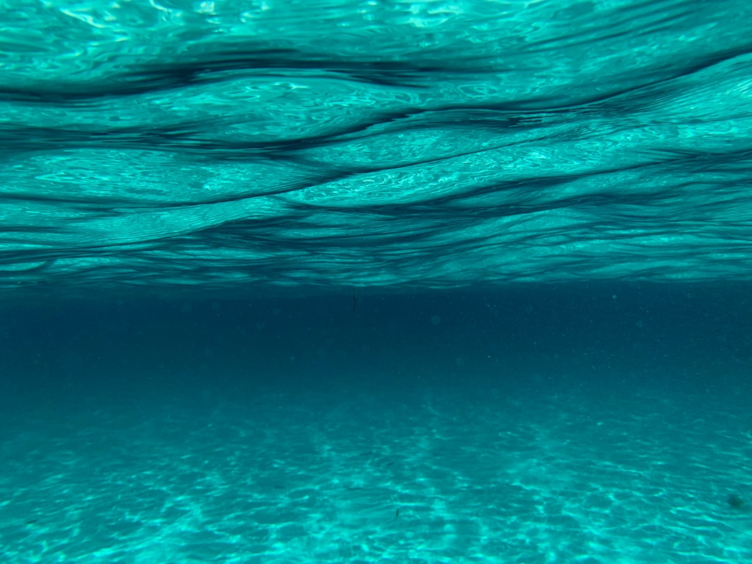 Photo Underwater Wonderland