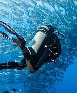 Mastering Fins and Finning Techniques for Optimal Scuba Diving Performance