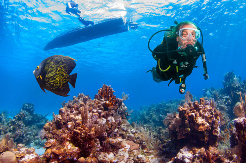 From Reef Sharks to Tacos:             A Roatán Dive Tale
