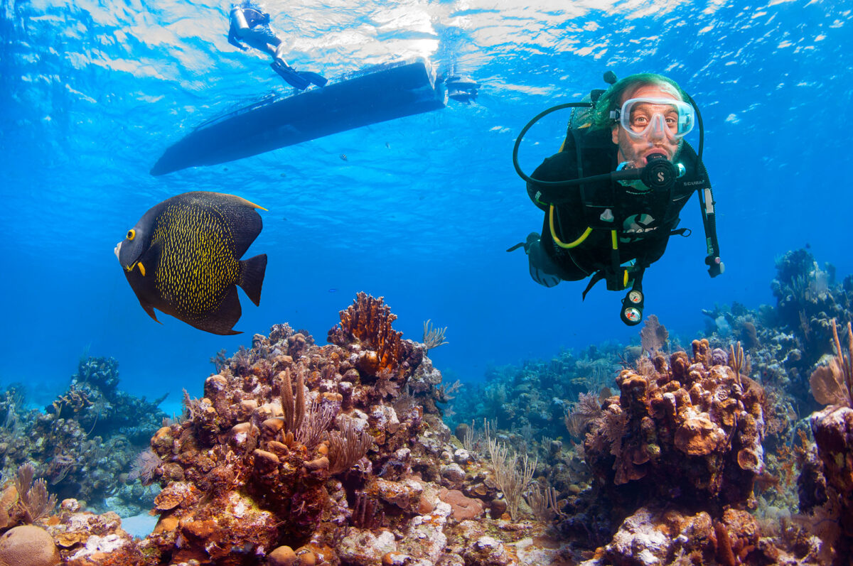 From Reef Sharks to Tacos:             A Roatán Dive Tale