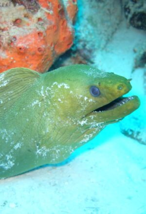 Salt Air & Family Ties: A Bonaire Trip I Will Never Forget